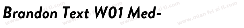 Brandon Text W01 Med字体转换